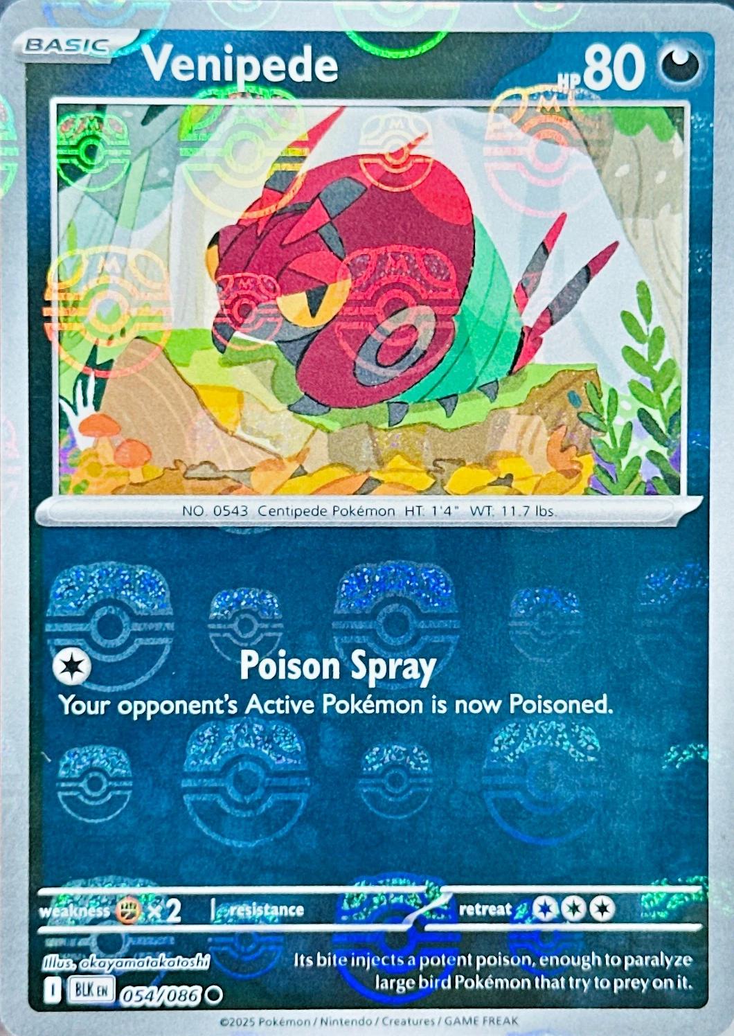 Venipede (Master Ball Pattern) - Holofoil 054/086 Black Bolt | Common Pokemon Card