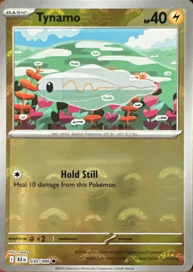 Tynamo (Poke Ball Pattern) - Holofoil 030/086 Black Bolt | Common Pokemon Card