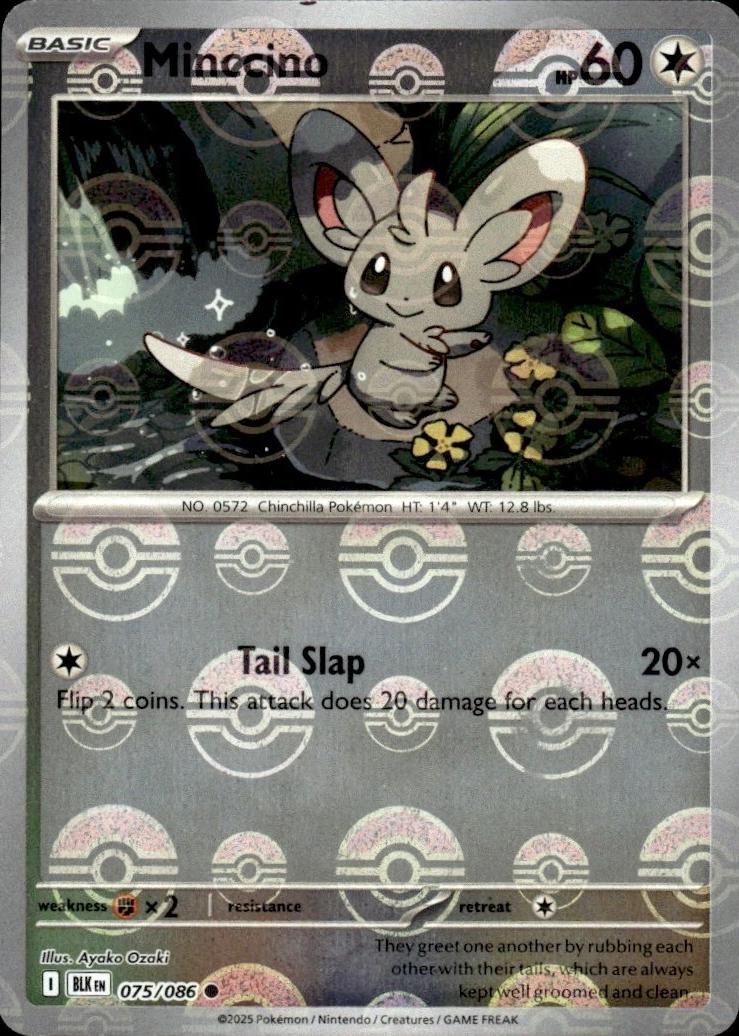 Minccino (Poke Ball Pattern) - Holofoil 075/086 Black Bolt | Common Pokemon Card