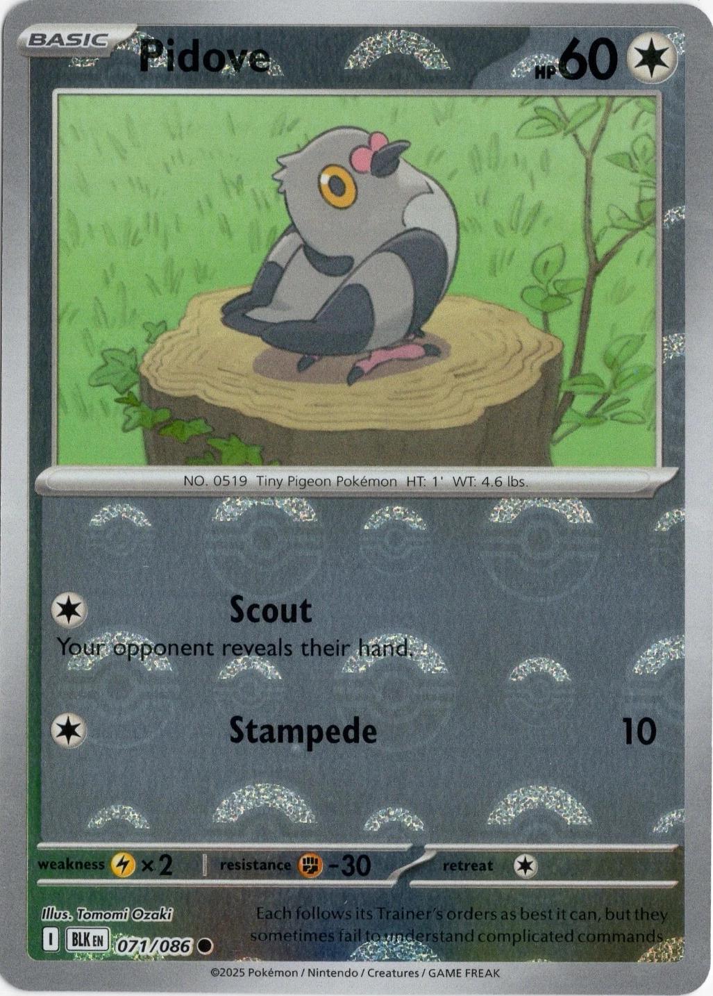 Pidove (Poke Ball Pattern) - Holofoil 071/086 Black Bolt | Common Pokemon Card