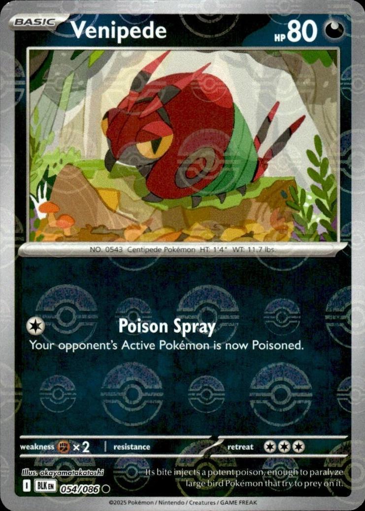Venipede (Poke Ball Pattern) - Holofoil 054/086 Black Bolt | Common Pokemon Card