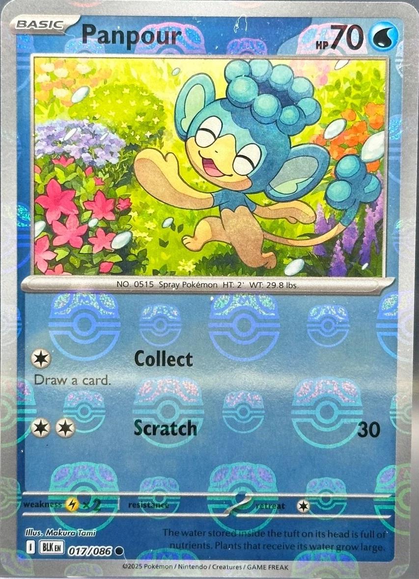 Panpour (Master Ball Pattern) - Holofoil 017/086 Black Bolt | Common Pokemon Card