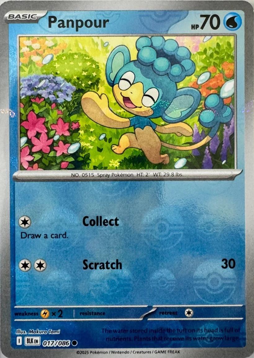 Panpour (Poke Ball Pattern) - Holofoil 017/086 Black Bolt | Common Pokemon Card