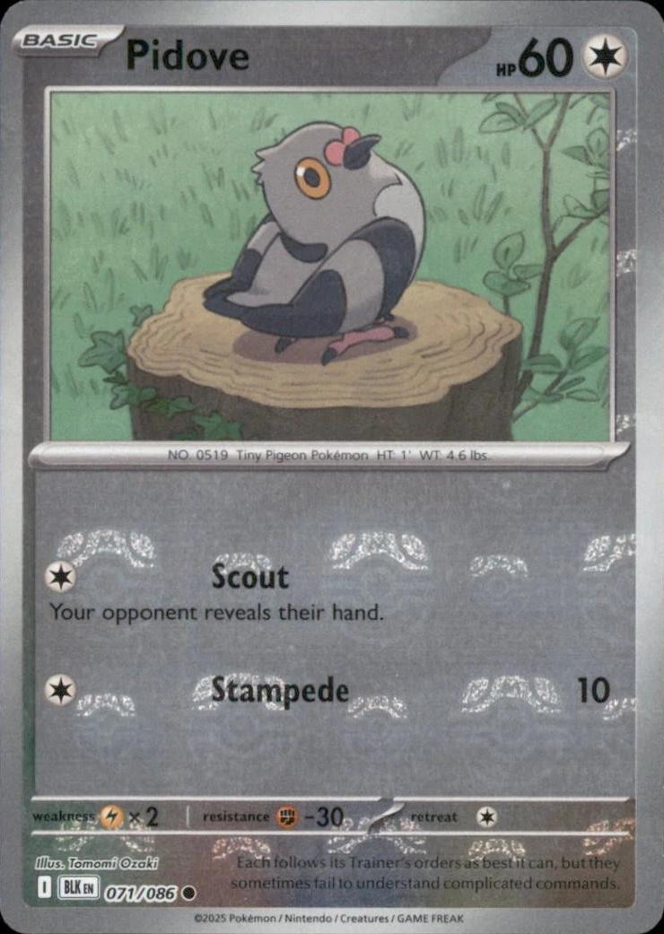 Pidove (Master Ball Pattern) - Holofoil 071/086 Black Bolt | Common Pokemon Card