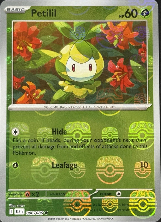 Petilil (Master Ball Pattern) - Holofoil 006/086 Black Bolt | Common Pokemon Card