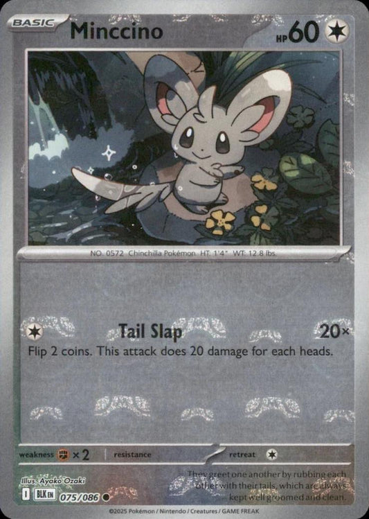 Minccino (Master Ball Pattern) - Holofoil 075/086 Black Bolt | Common Pokemon Card