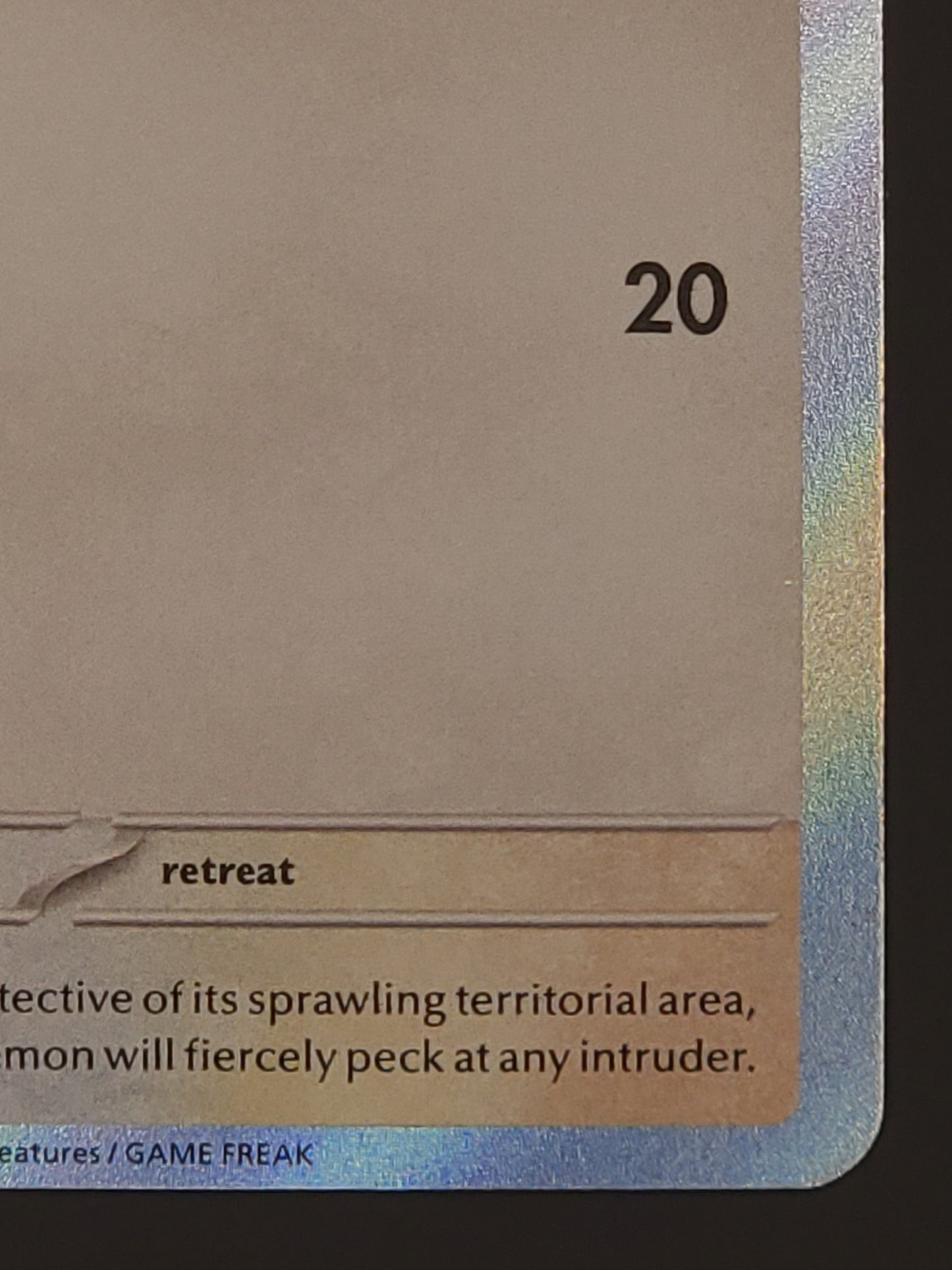 Pidgeotto 197/091 Paldean Fates | Baby Shiny Rare Pokemon Card