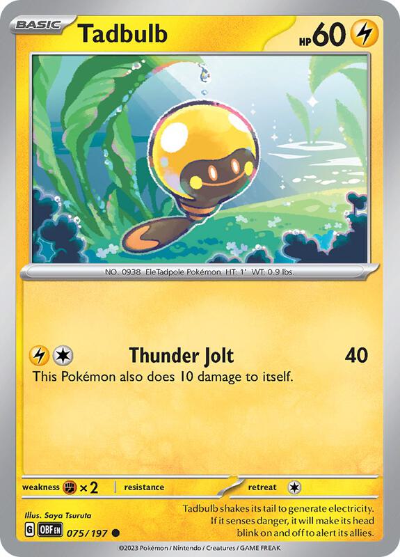 Tadbulb 075/197 - Normal 075/197 Obsidian Flames | Common Pokemon Card