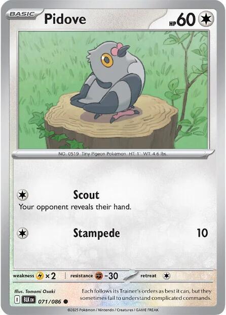 Pidove - Reverse Holofoil 071/086 Black Bolt | Common Pokemon Card