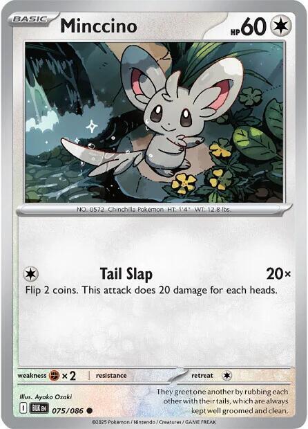 Minccino - Normal 075/086 Black Bolt | Common Pokemon Card
